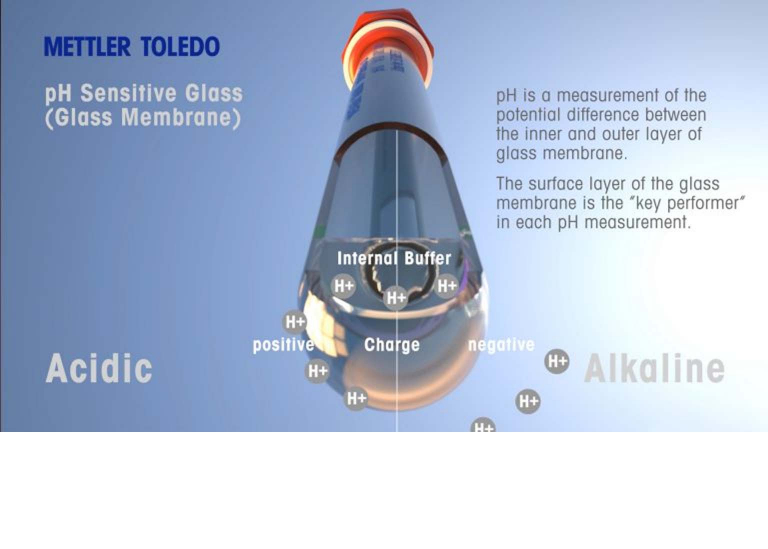 Mettler Toledo sensor - pH sensitive glass