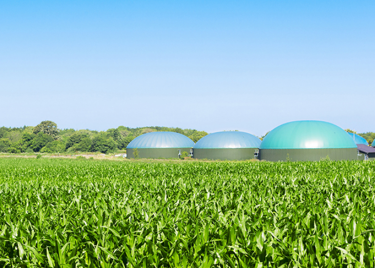 Biogas Production - CH4, CO2 & H2O measurement