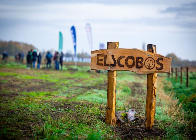 ElscoBos