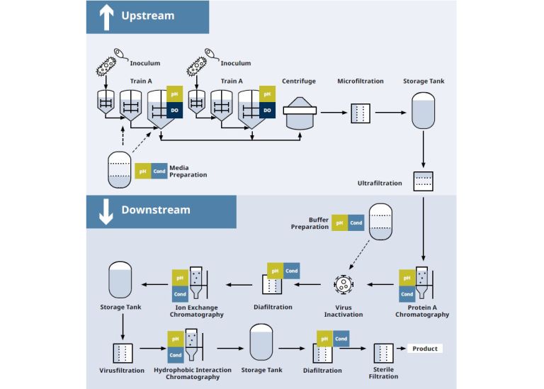 Knick - Upstream & Downstream Process in pharma and biotech