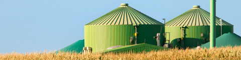 Biogas production