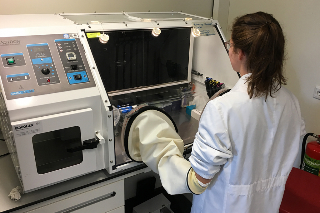 Bactron Anaerobic Working chamber