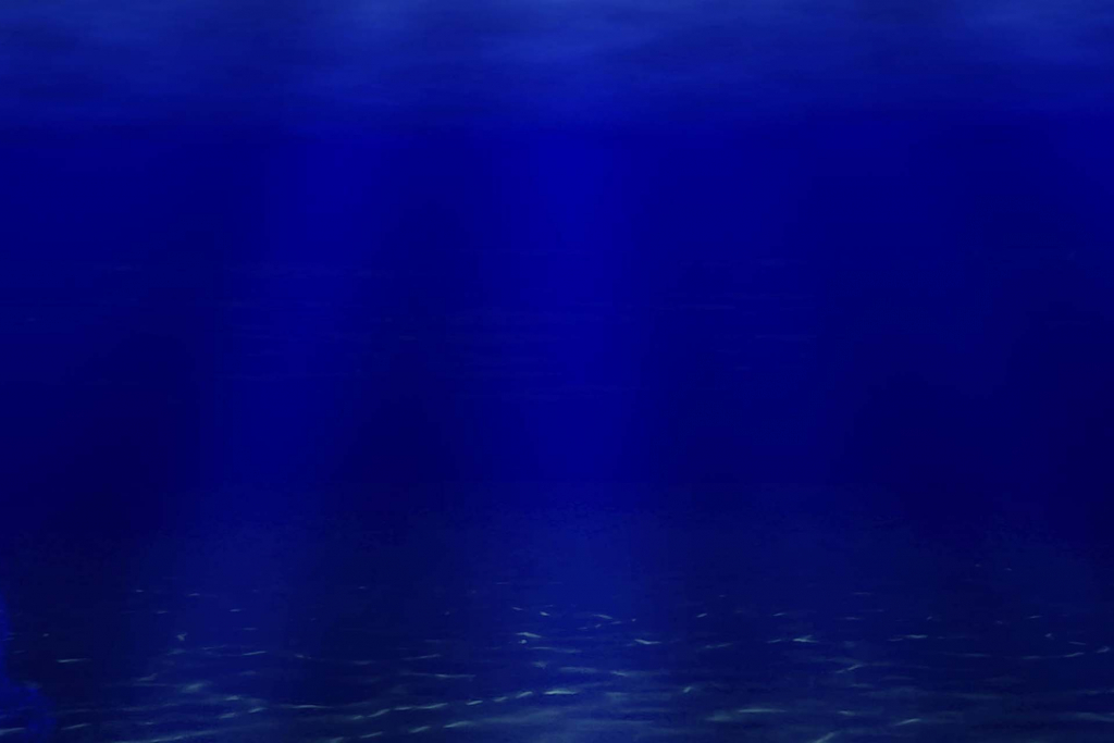 A high resolution genomic atlas of the Atlantic Ocean