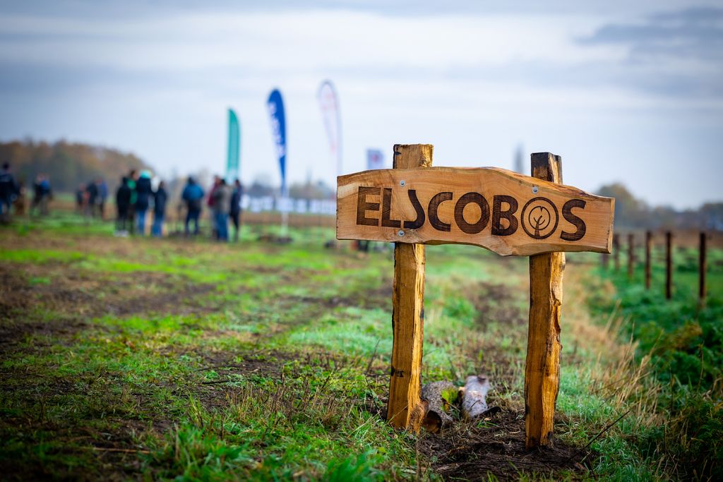 ElscoBos