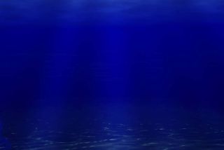 A high resolution genomic atlas of the Atlantic Ocean