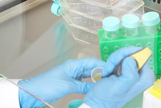 Cytostatic drug preparation in a microbiological safety cabinet